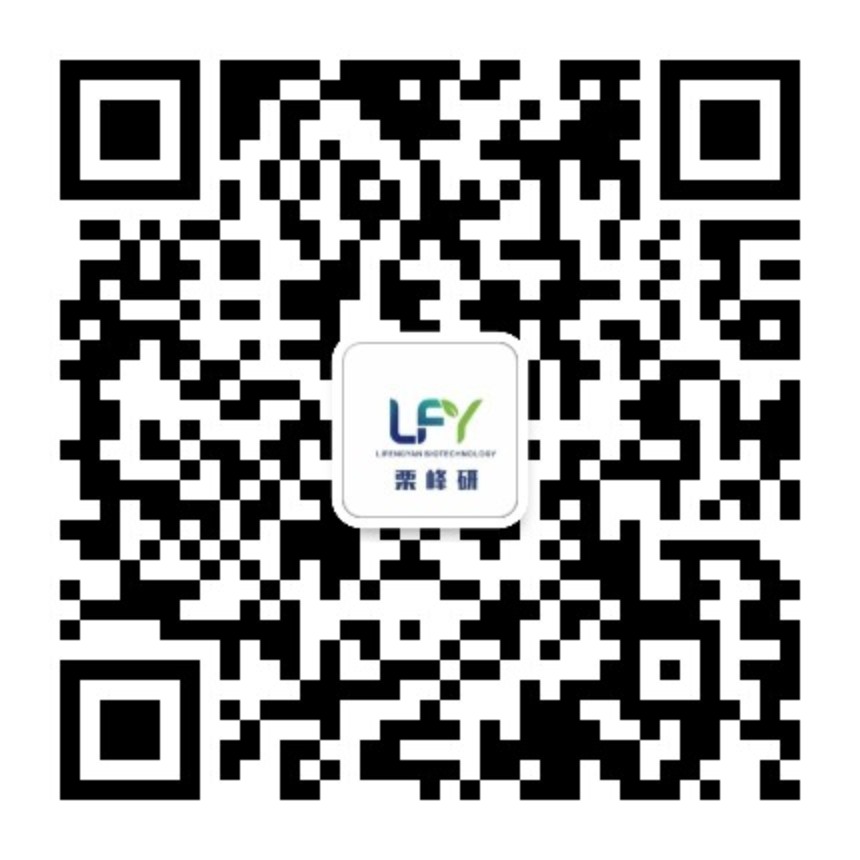 栗峰研公众号二维码